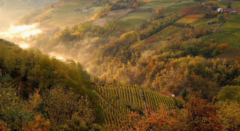 Вілла Cascina Arcangelo Raffaele Verduno Екстер'єр фото