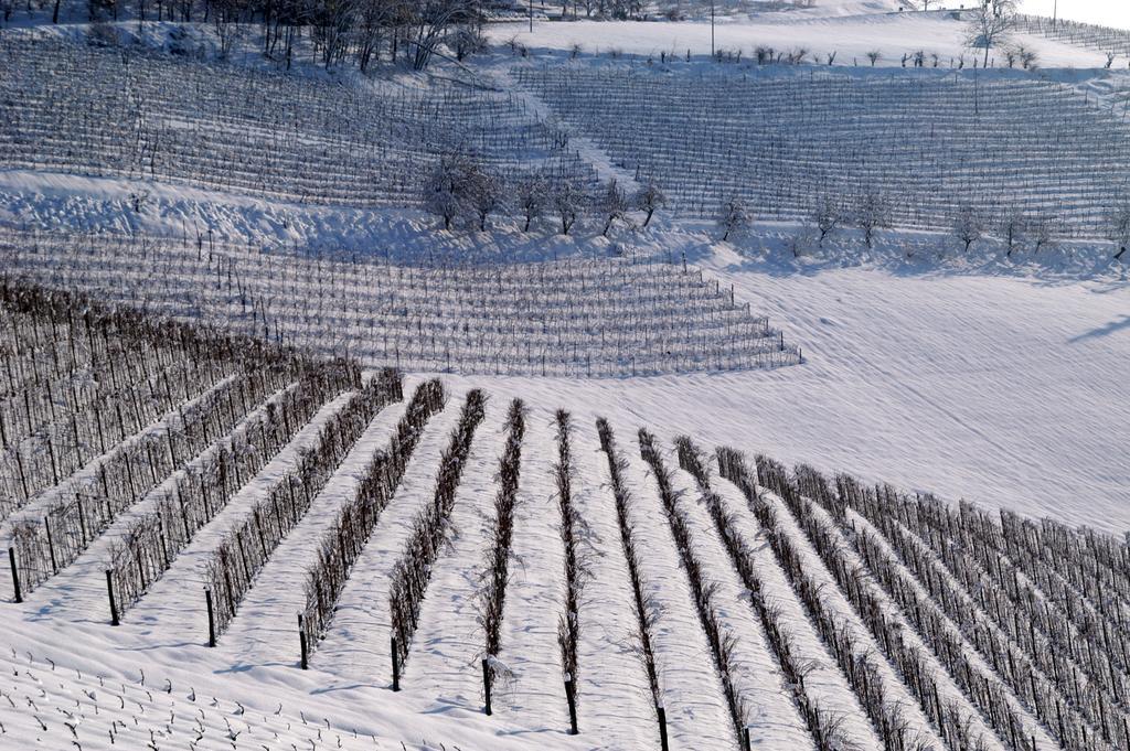 Вілла Cascina Arcangelo Raffaele Verduno Екстер'єр фото